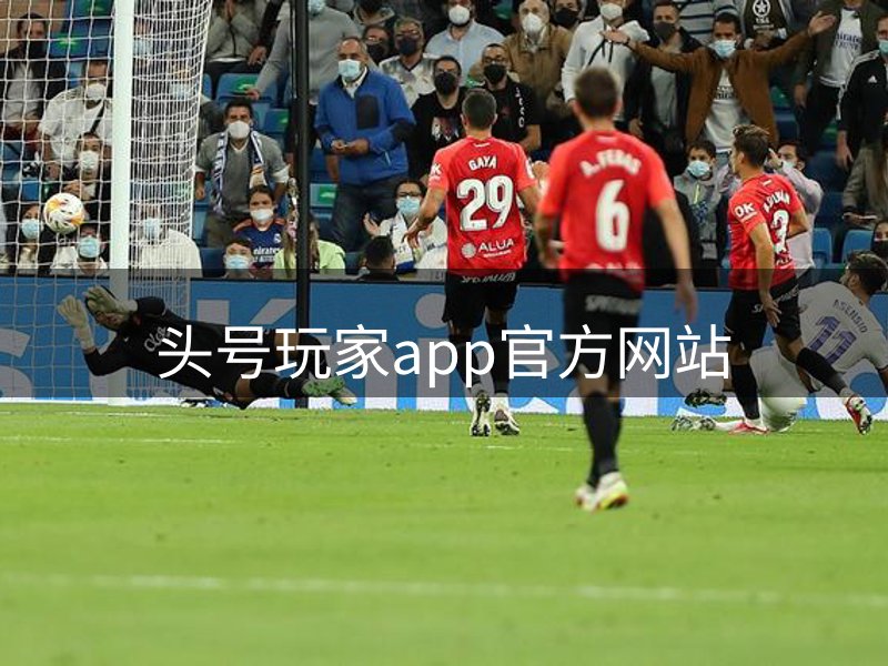 企业定位