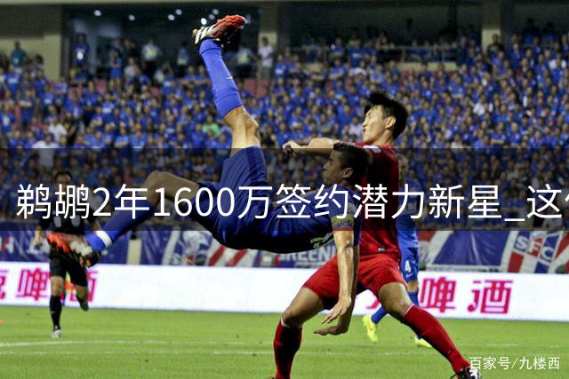 鹈鹕2年1600万签约潜力新星 这份合同是淘金还是冒险？